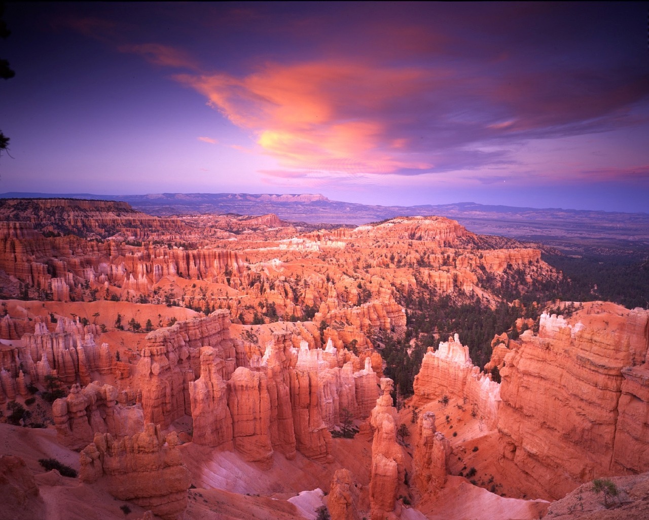 NP Bryce Canyon