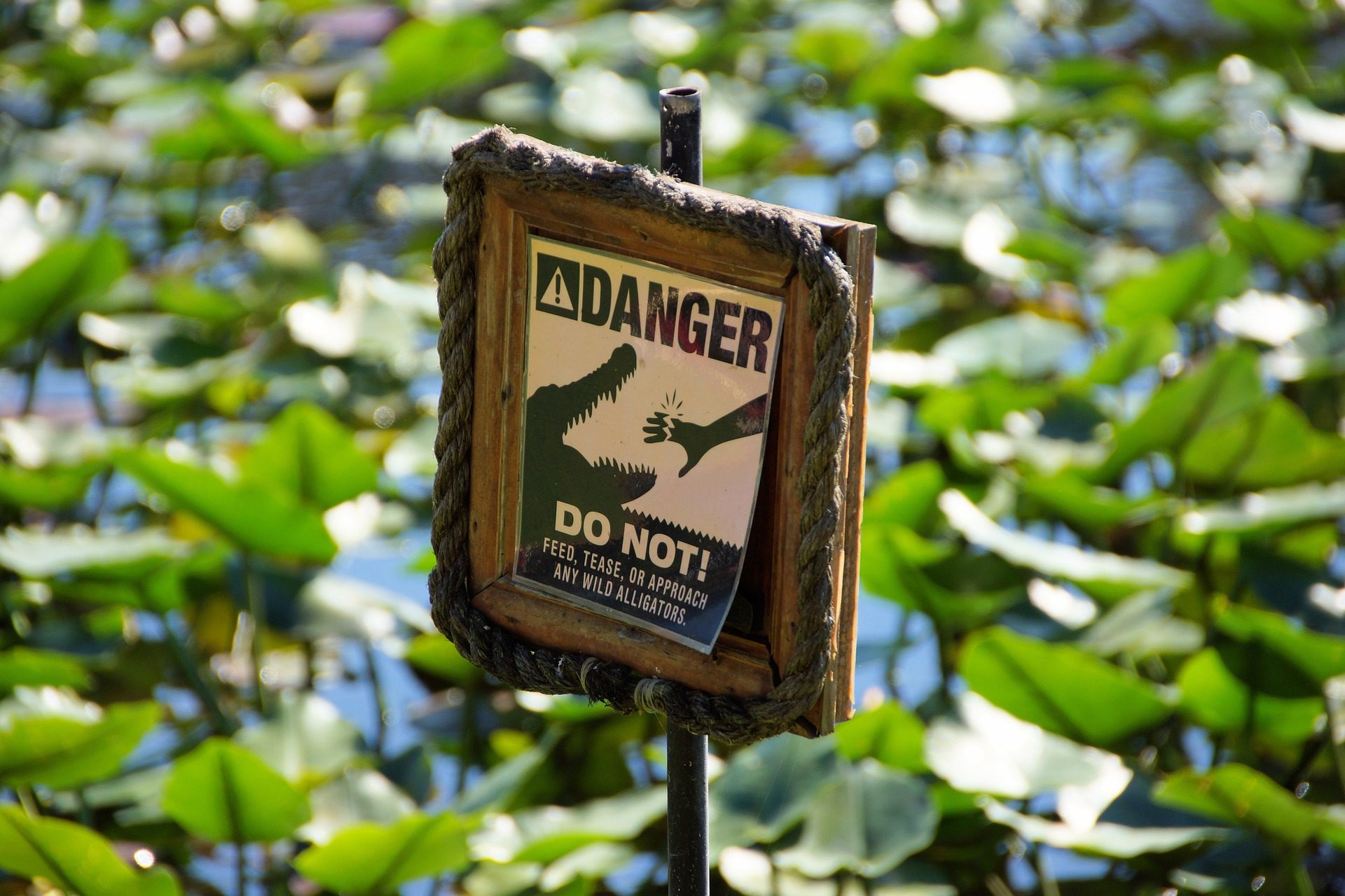 USA_Florida_Everglades_warning-877837_1920