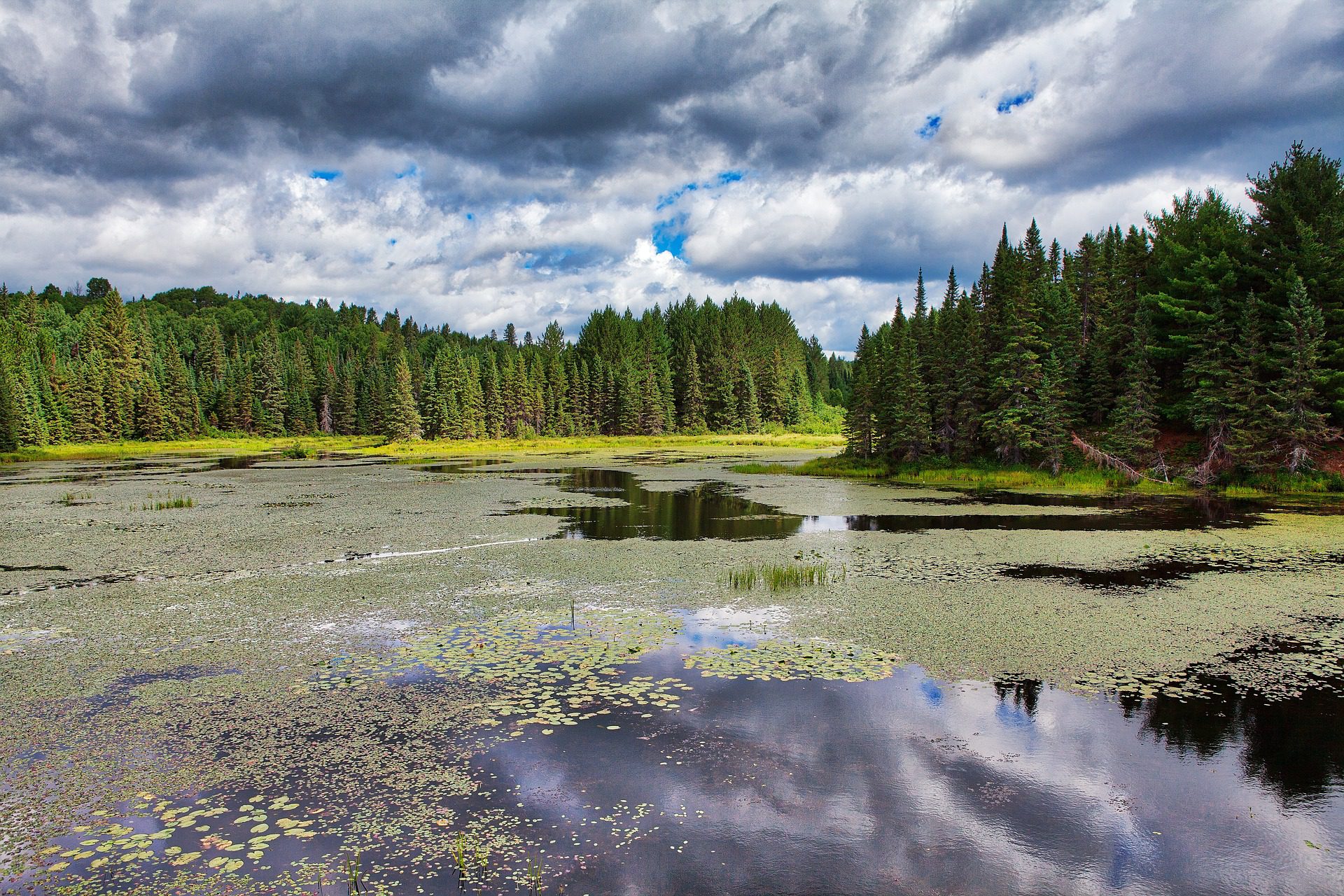 Algonquin Provincial Park